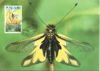 FL 0967 / 0970 MC ● - 1989